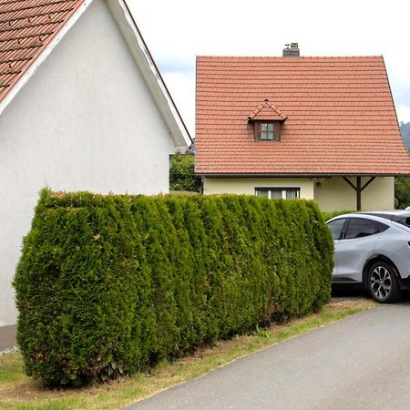 Flat Bull Appartement Mit Garten Sankt Lorenzen bei Knittelfeld Экстерьер фото