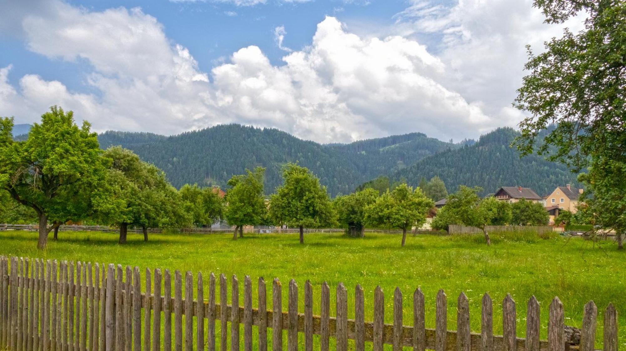 Flat Bull Appartement Mit Garten Sankt Lorenzen bei Knittelfeld Экстерьер фото